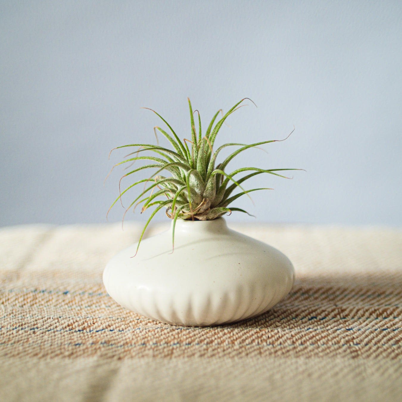 ジョグジャフラワーポッド