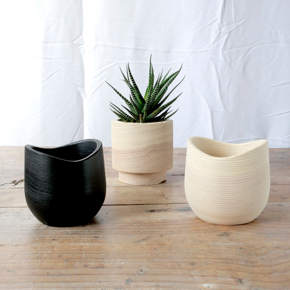 FUQUGI プランター 杉 the ETHNORTH GALLERY