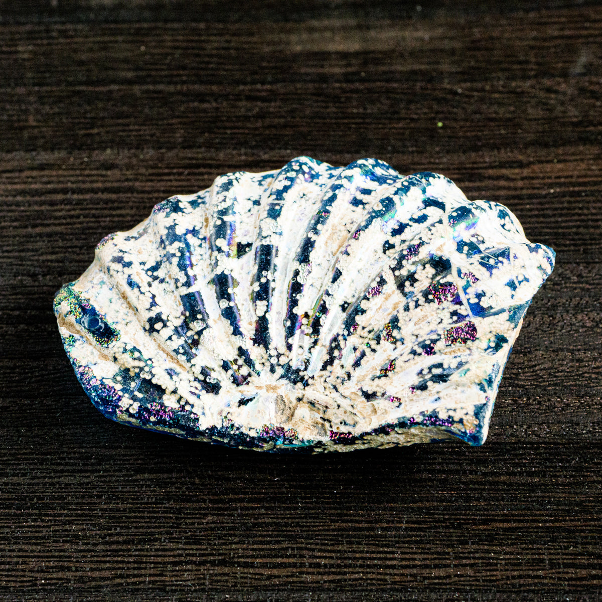 ローマングラス破片(中)