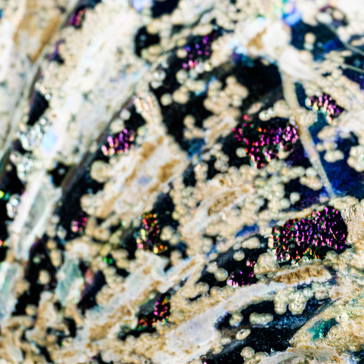 ローマングラス破片(中)