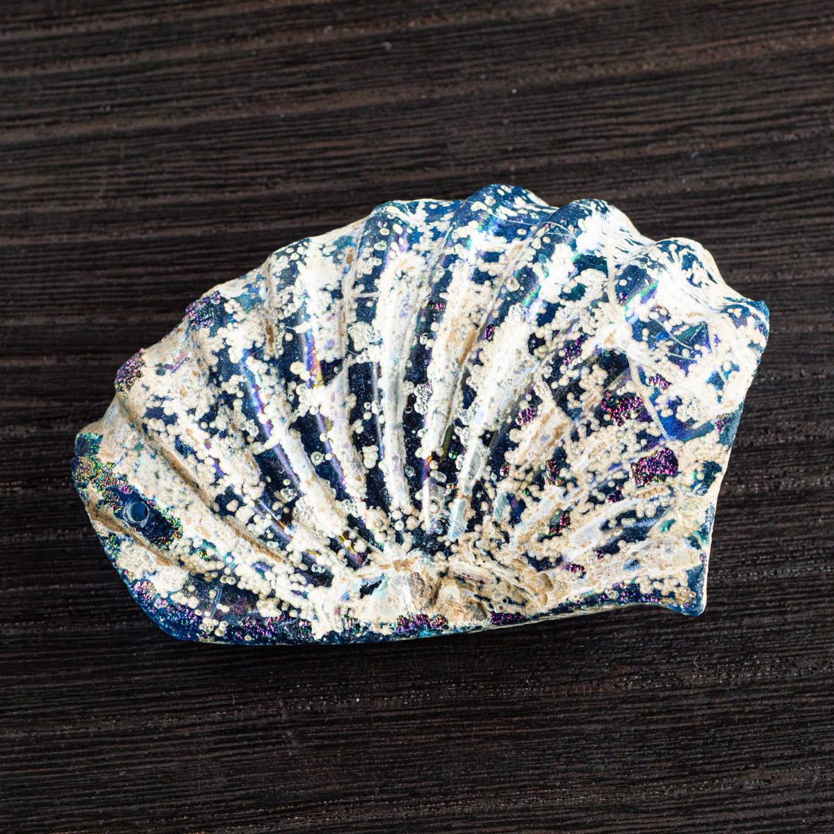 ローマングラス破片(中)