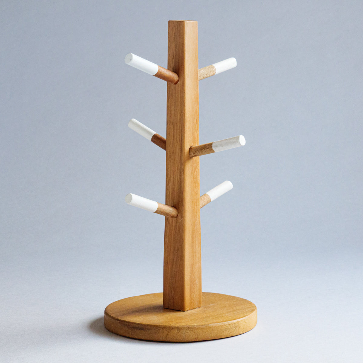 アカシアツリーディスプレイ