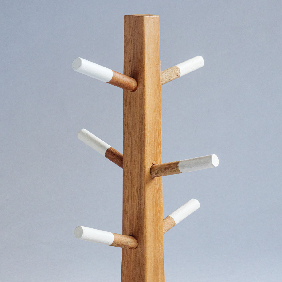 アカシアツリーディスプレイ