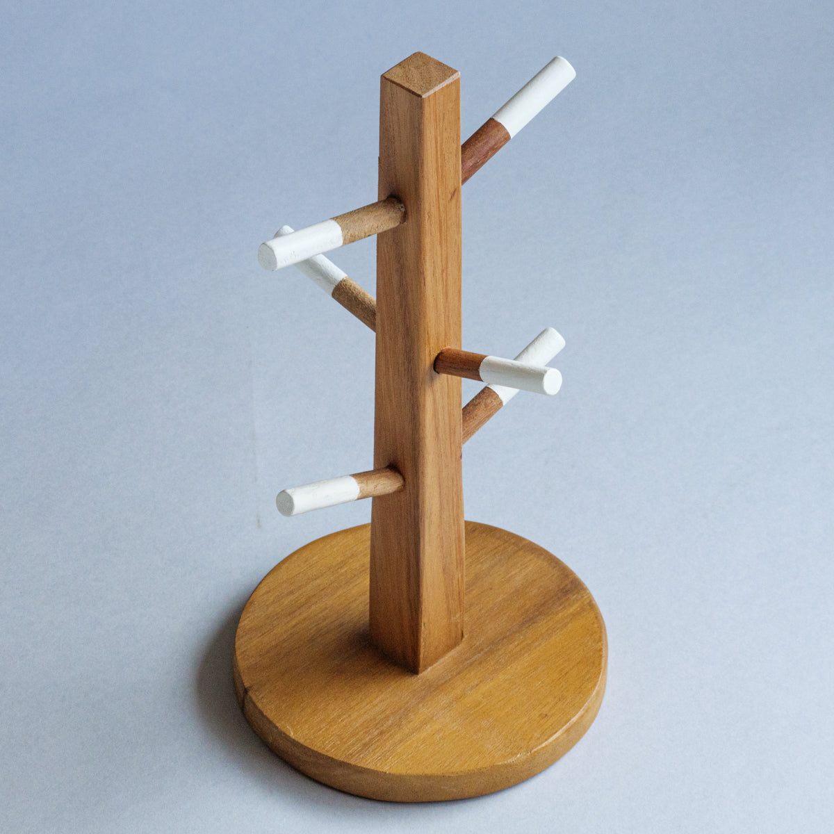 アカシアツリーディスプレイ