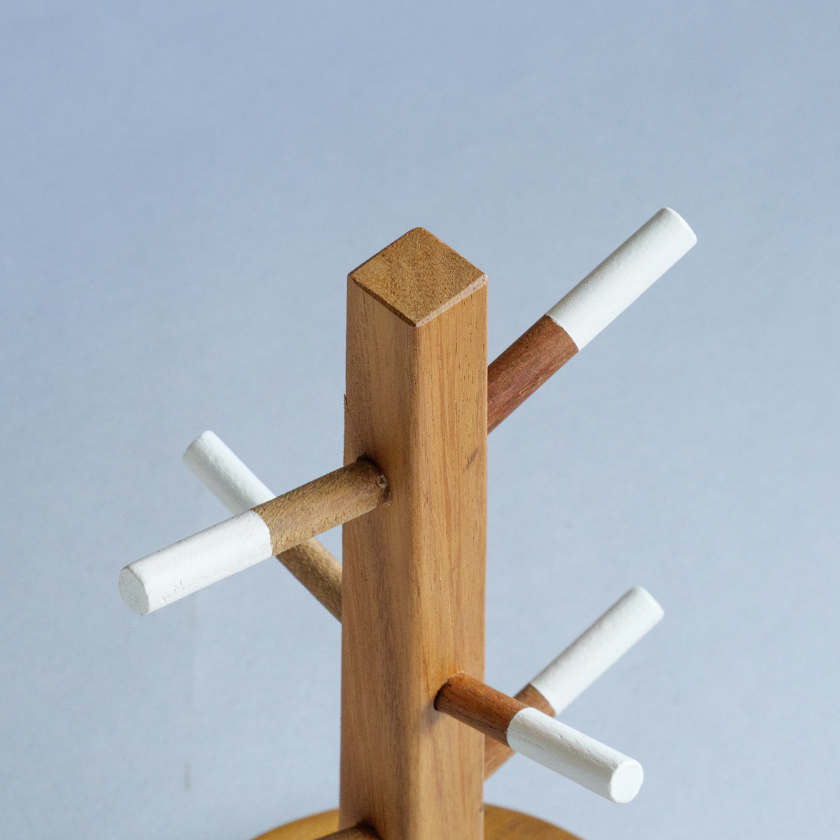 アカシアツリーディスプレイ